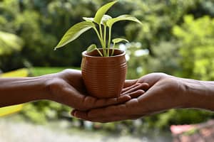 Plant Growth - Transaction Focus Outsourced Sales